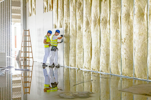 Best Types of Insulation in Dover Base Housing, DE